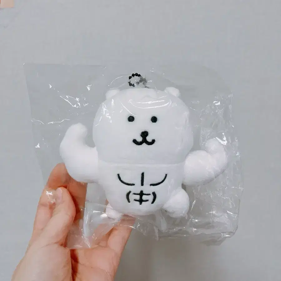 농담곰 근육곰 담곰이