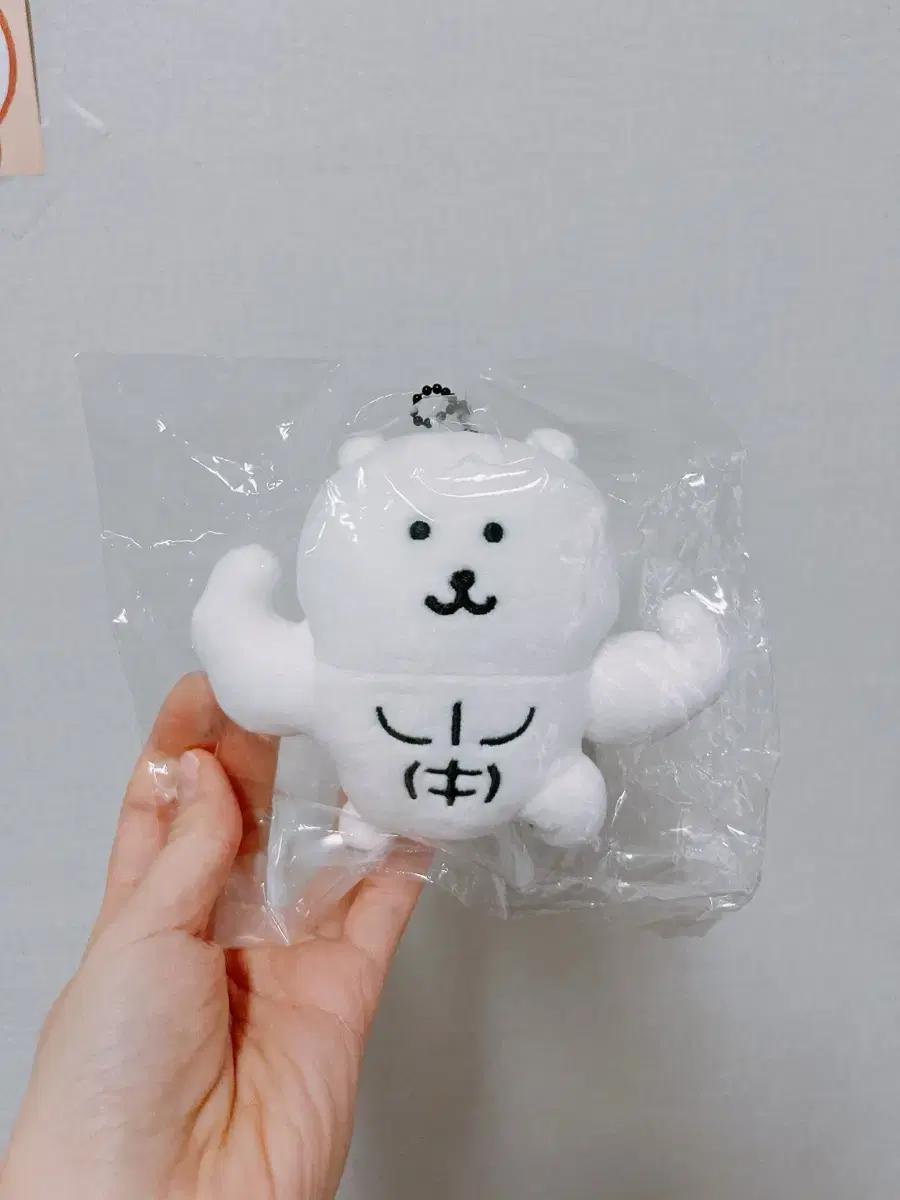 농담곰 근육곰 담곰이