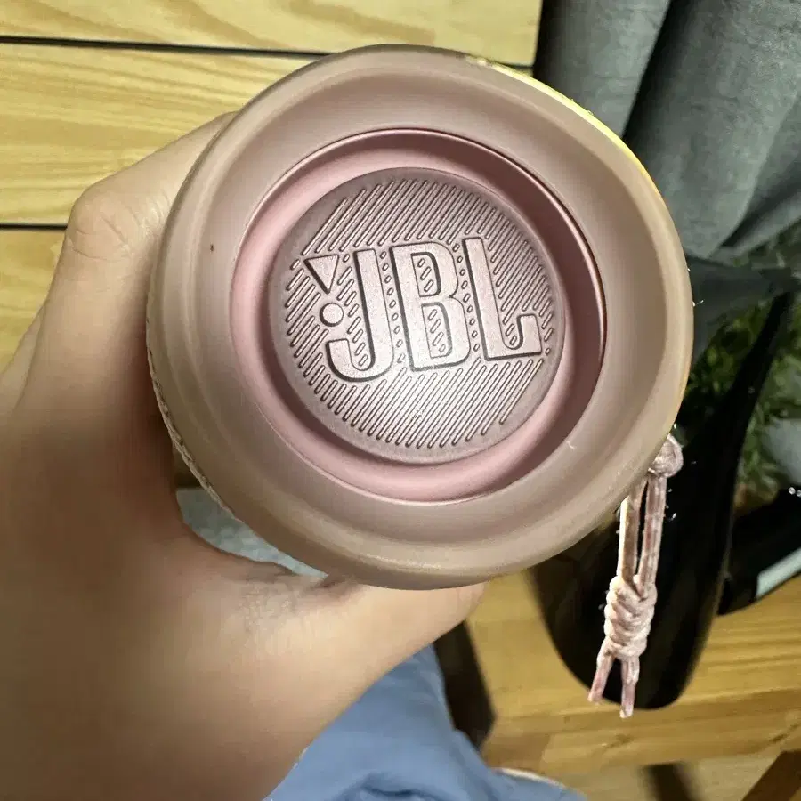 JBL flip 5