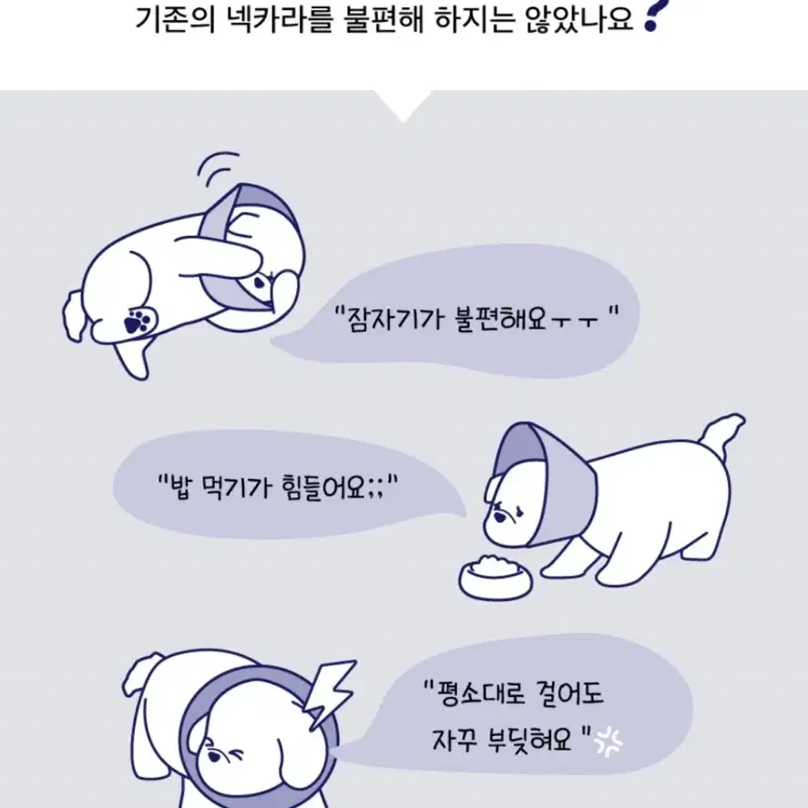 강아지 넥카라