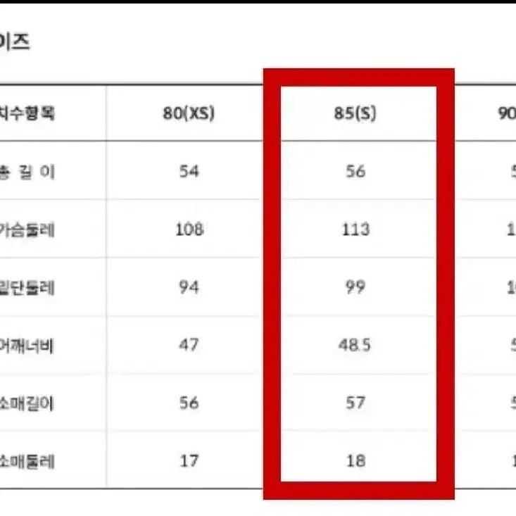 노스페이스 눕시 패딩 실버 S