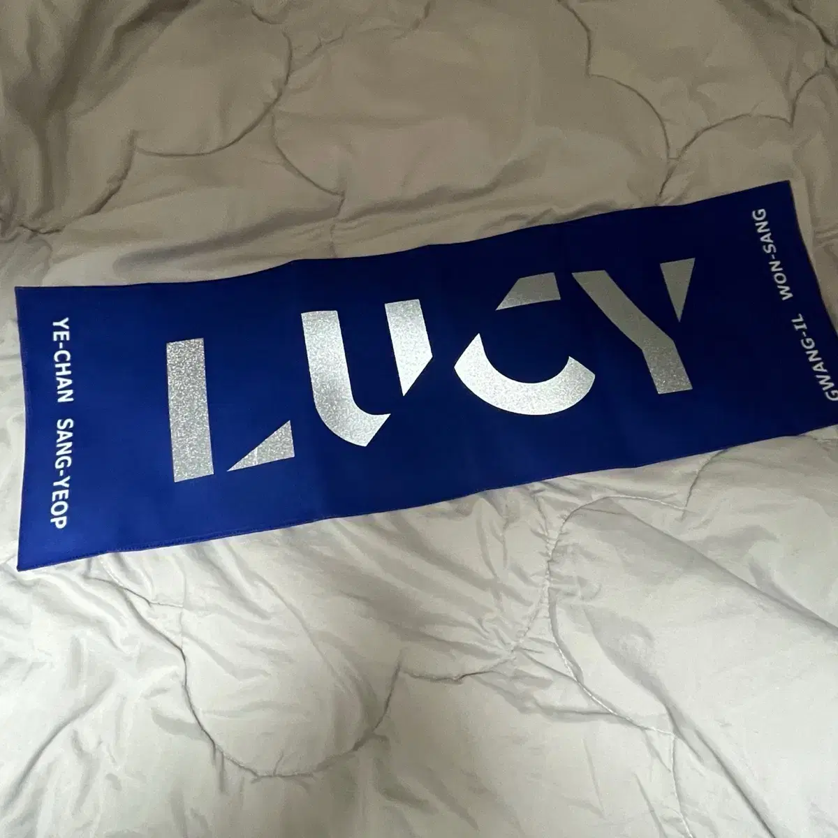 루시 퍼스트랜딩 슬로건 LUCY FIRST LANDING