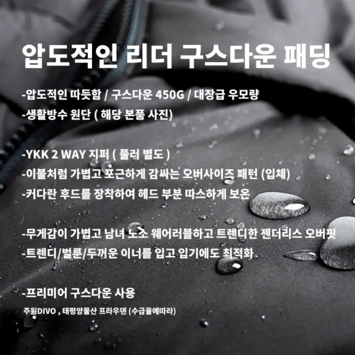 집시 구스다운 패딩L