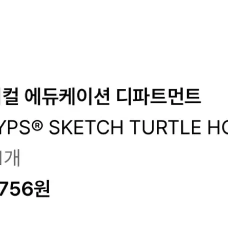 PHYPS SKETCH TURTLE 후드티