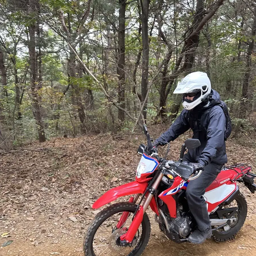 혼다 crf300l 21년식