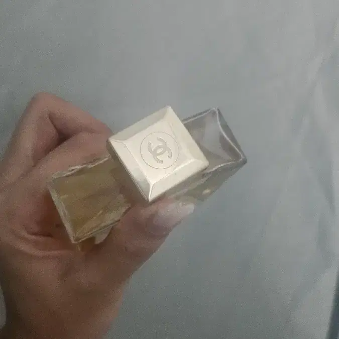 샤넬향수 가브리엘에쌍스100ml