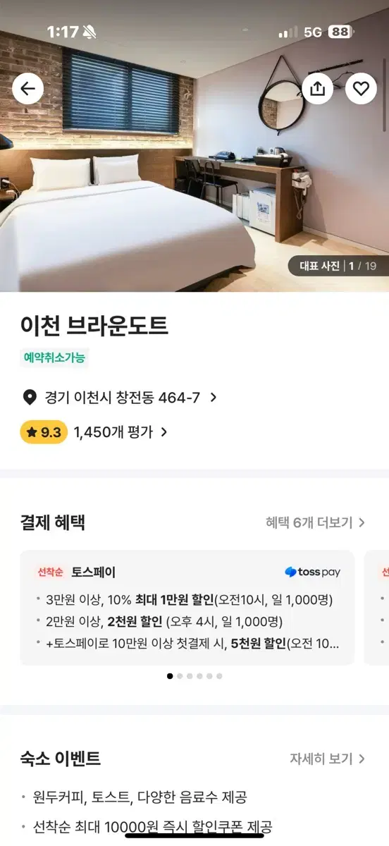 이천터미널 브라운도트 2pc