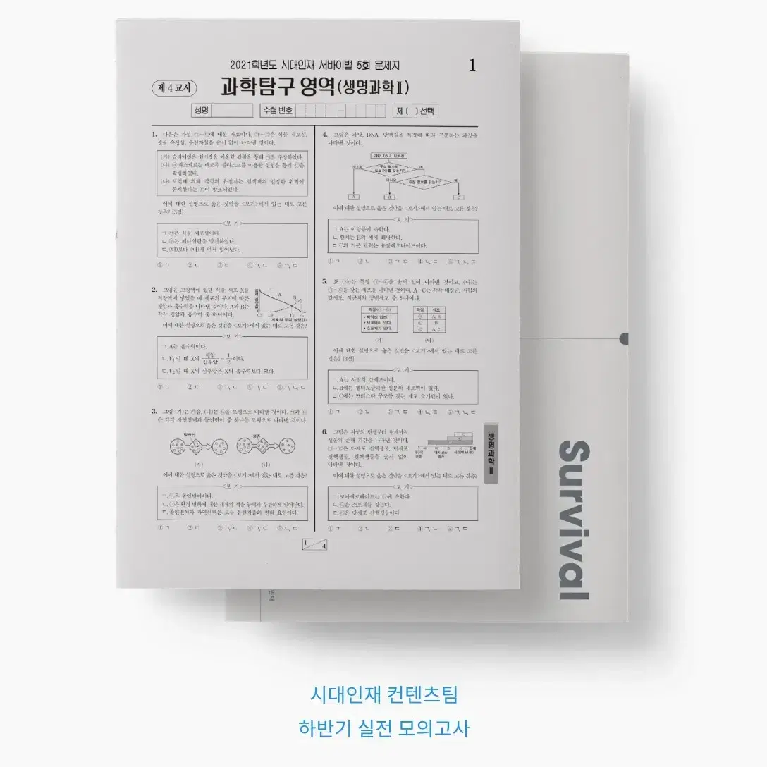 [시대인재] 2025 서바이벌 & 브릿지