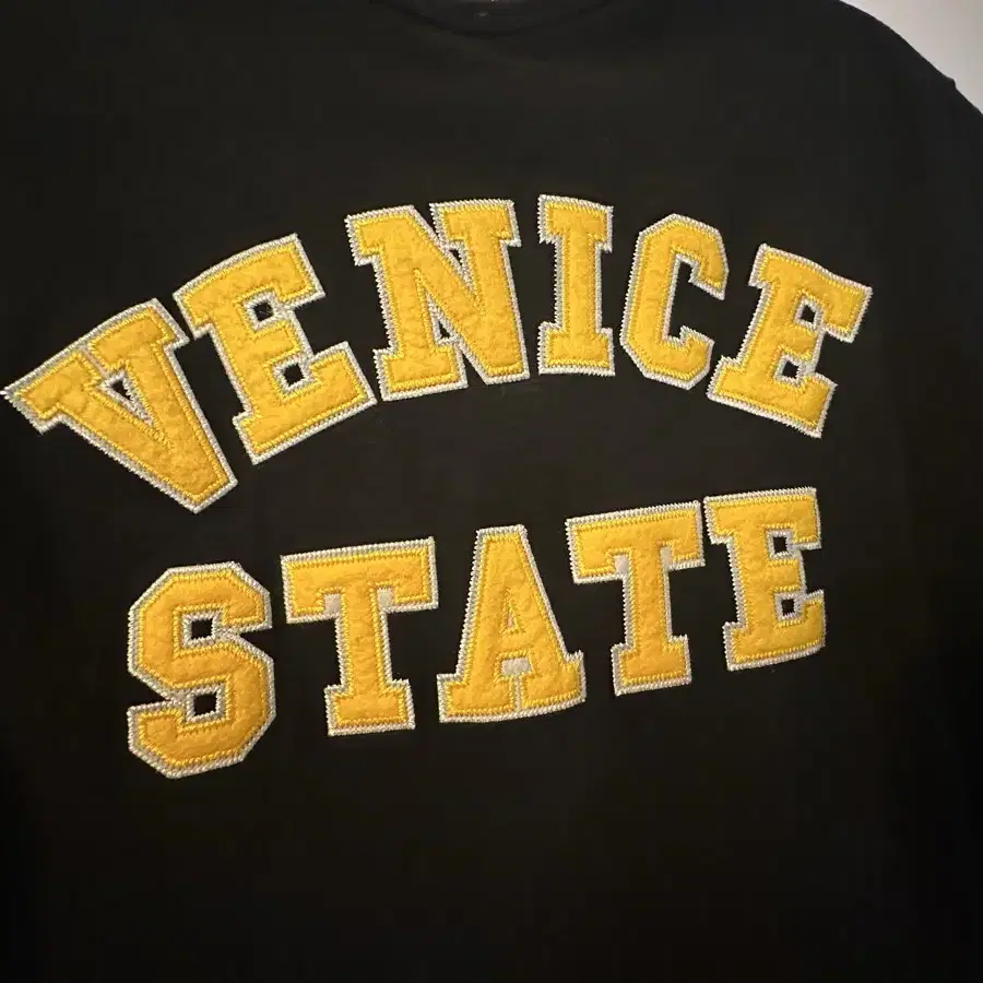 DIESEL VENICE STATE T SHIRT