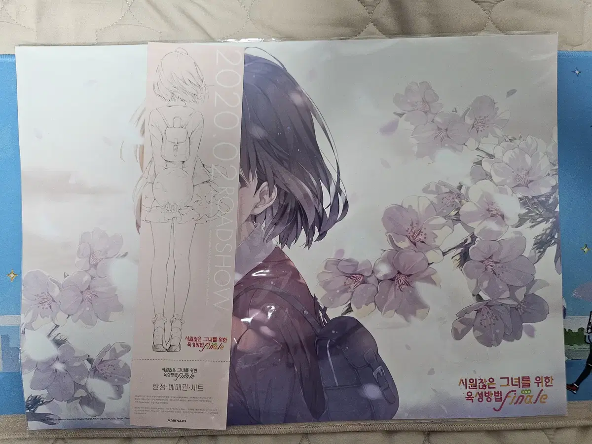 How to Raise a Siwon (Saekano) Fine Limited Advance Ticket Set