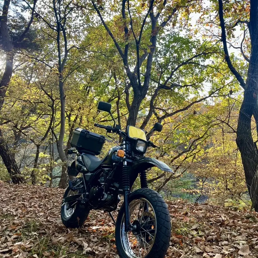 17년식 트로이125 4,000km 주행 클래식스타일