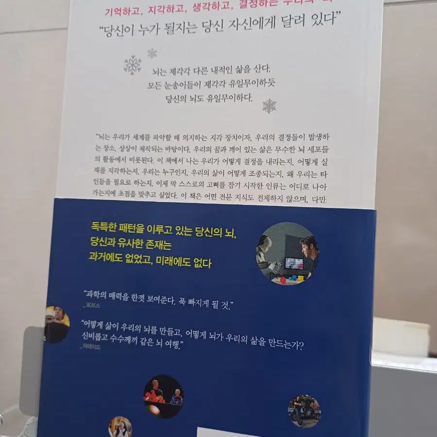 더 브레인 : 삶에서 뇌는 얼마나 중요한가