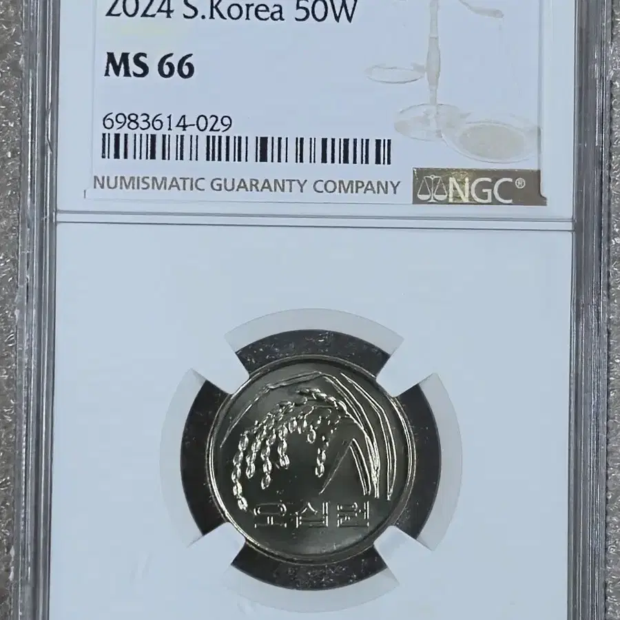 2024년 50원 66등급