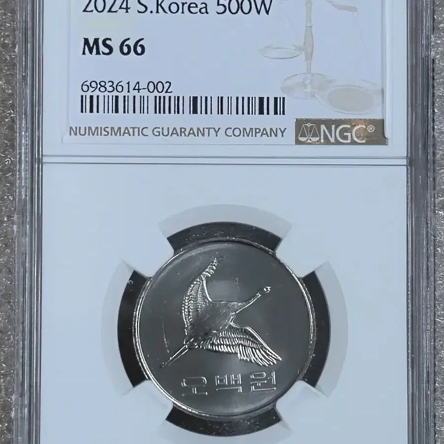 2024년 500원 66등급