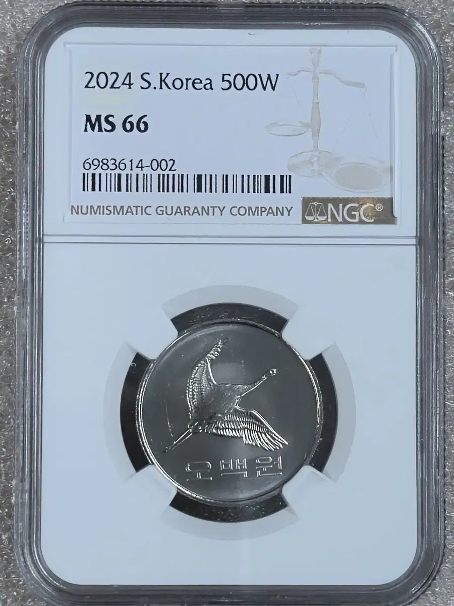 2024년 500원 66등급