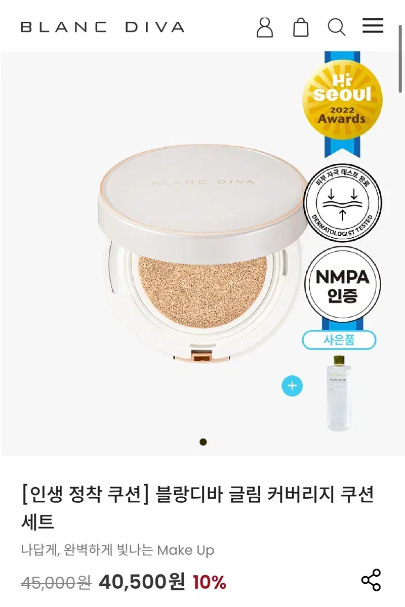 블랑디바 쿠션