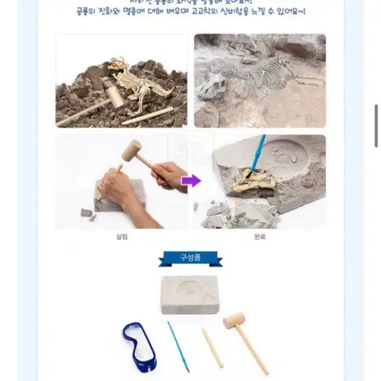 토이트론 스미스소니언 과학실험