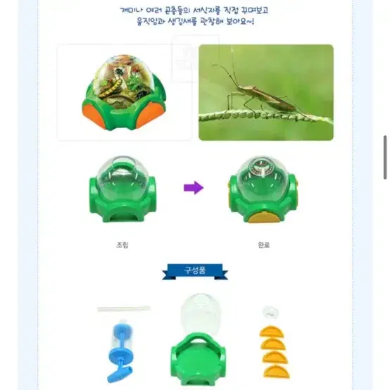 토이트론 스미스소니언 과학실험