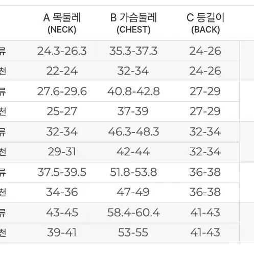 반려견 디즈니 미니마우스 방한점퍼