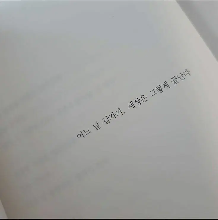 프세카 미즈키 산리오 누이 판매