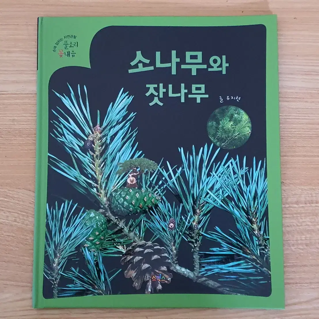 대교소빅스 풀소리 꽃내음 전집 책