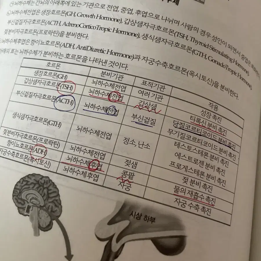 윤도영2025 현강풀교재