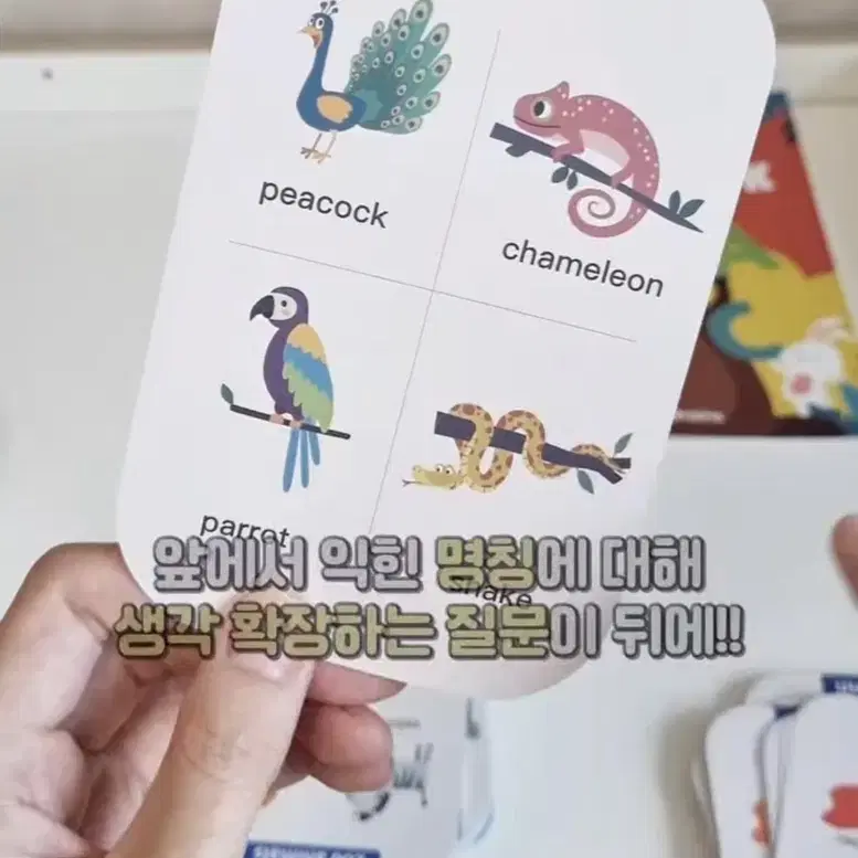 잉글리쉬러닝패드 새상품 맘글리