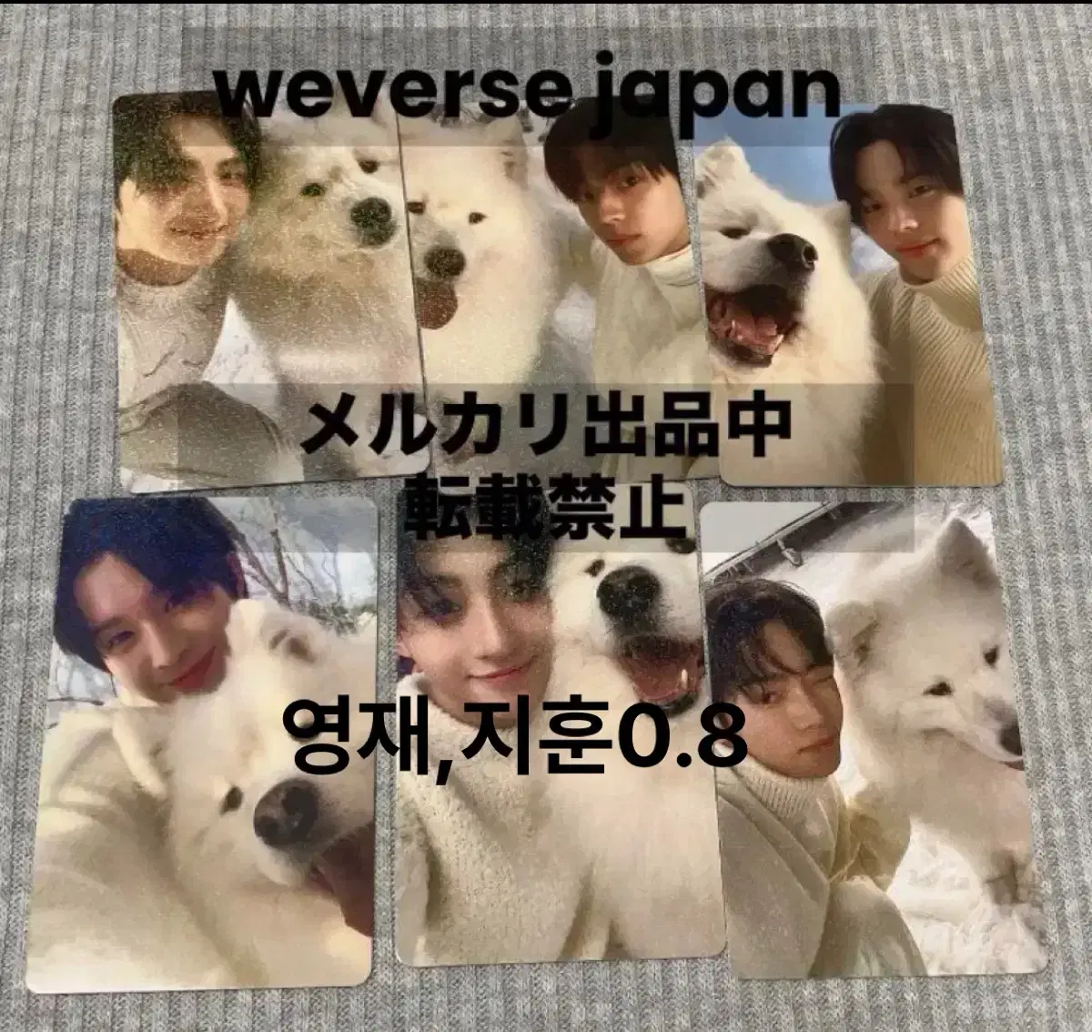 TWS weverse japan puppy photocard buncheol