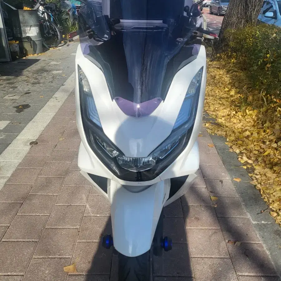 22년식 Pcx