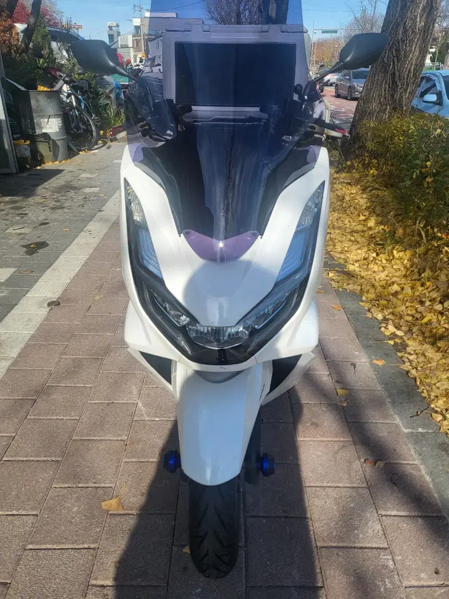 22년식 Pcx