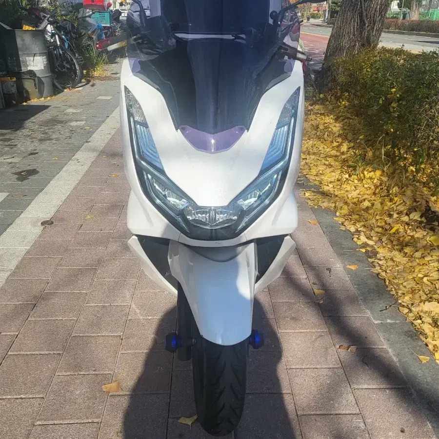 22년식 Pcx