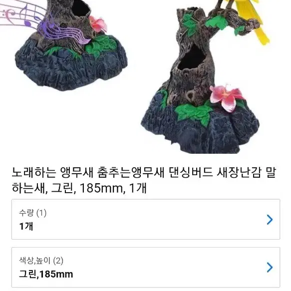 춤추고 말하는 앵무새 레드