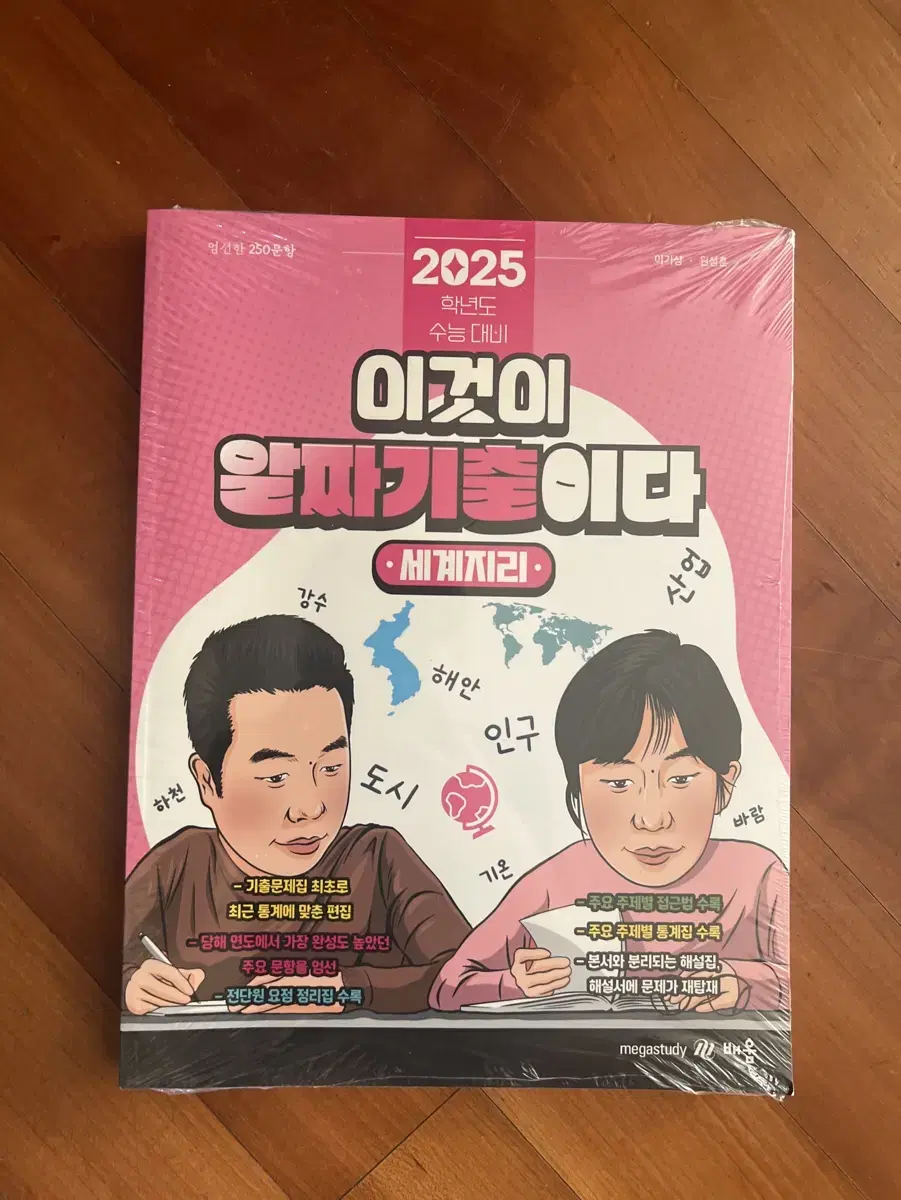 2025 이기상 이것이 알짜기출이다 (세계지리)