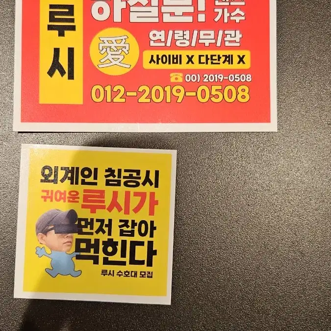 루시 찌라시&도무송