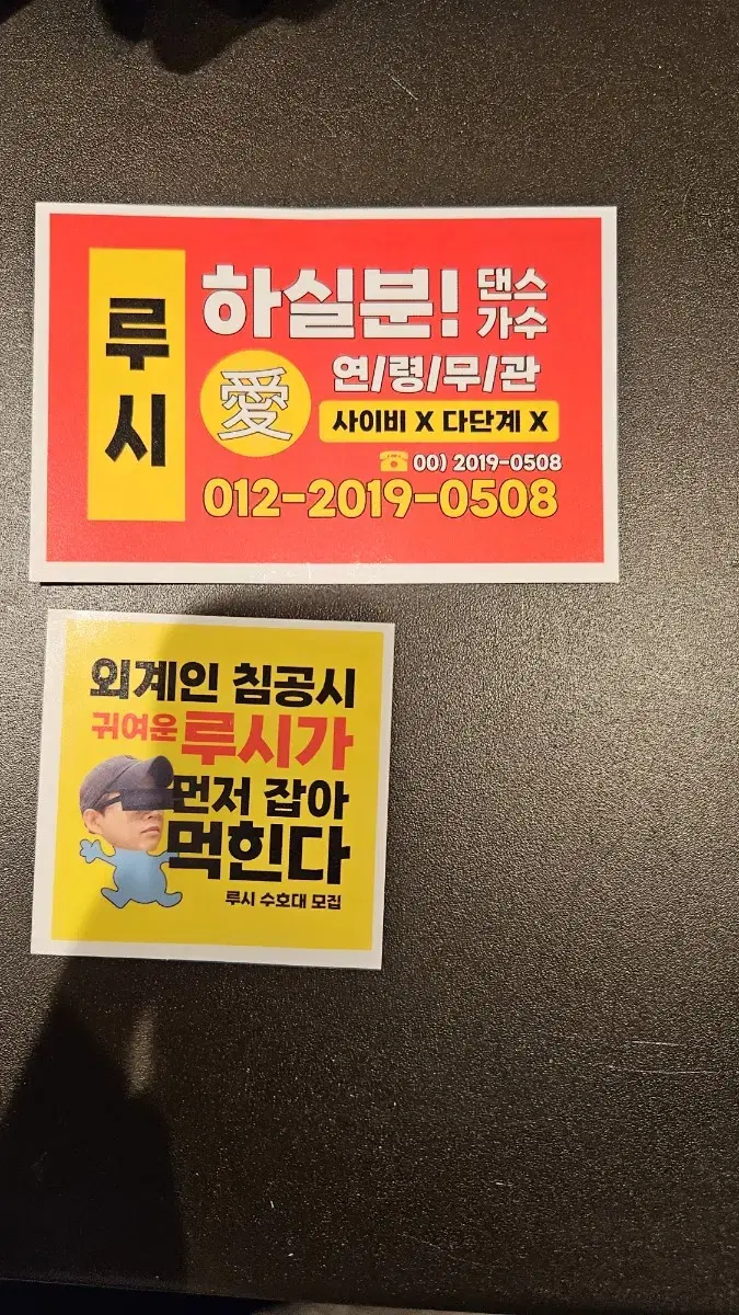 루시 찌라시&도무송