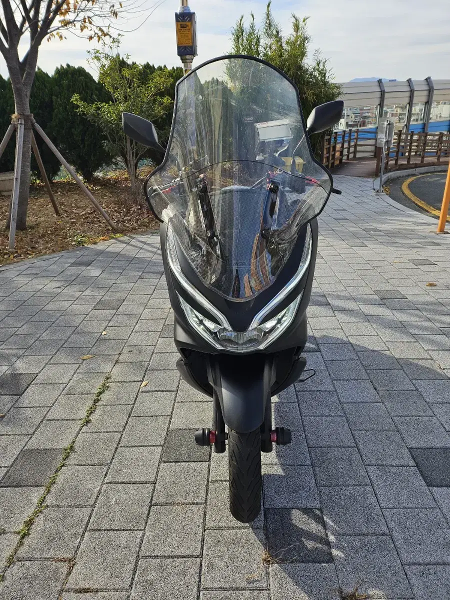 부산 20년 PCX125 익실 구변 깔끔한 차량 판매