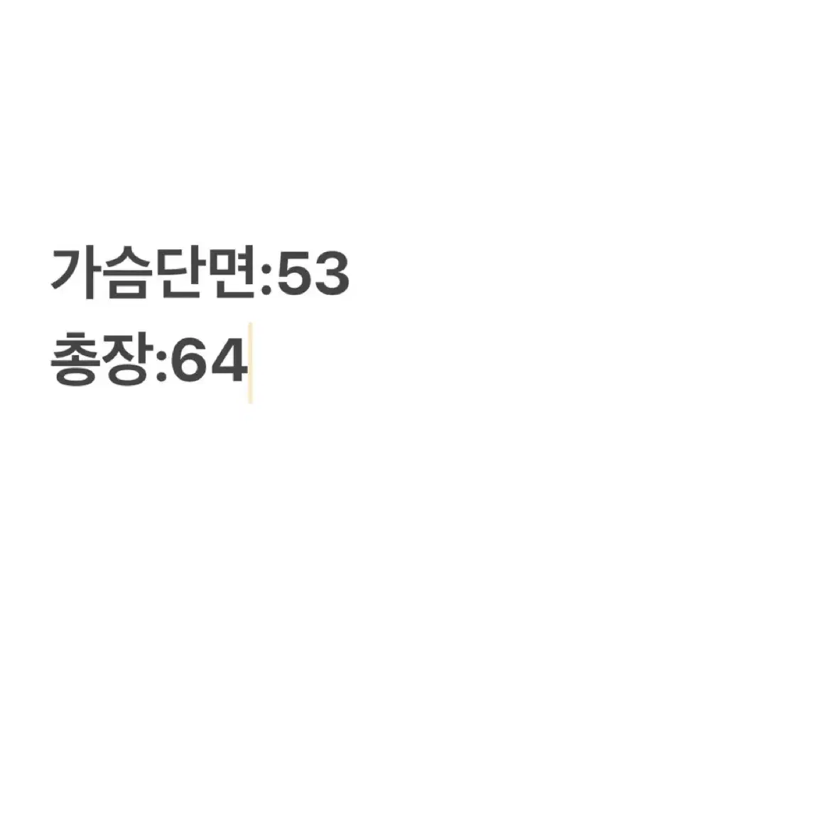 아식스 패딩조끼 95