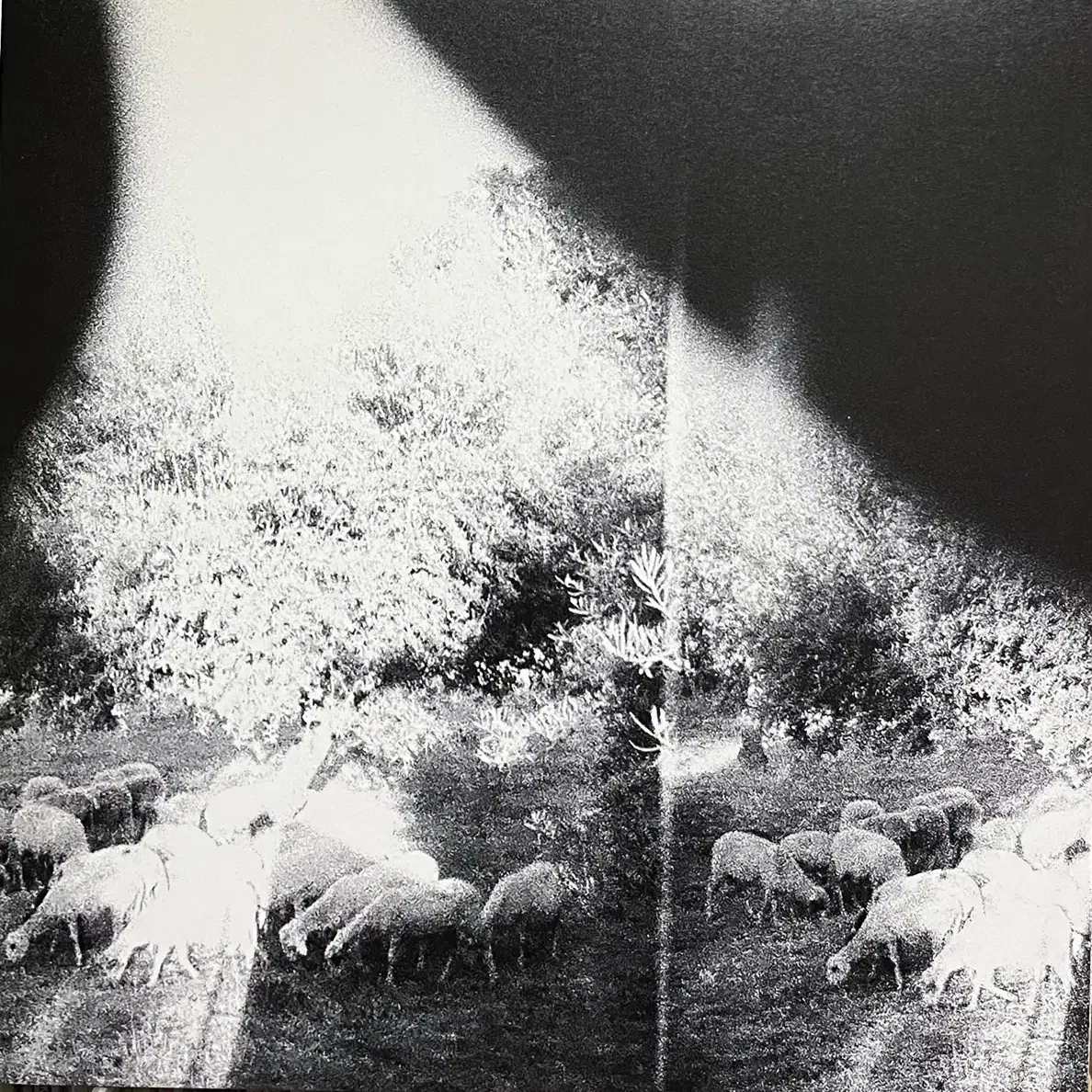 (포스트락) Godspeed You! Black Emperor lp