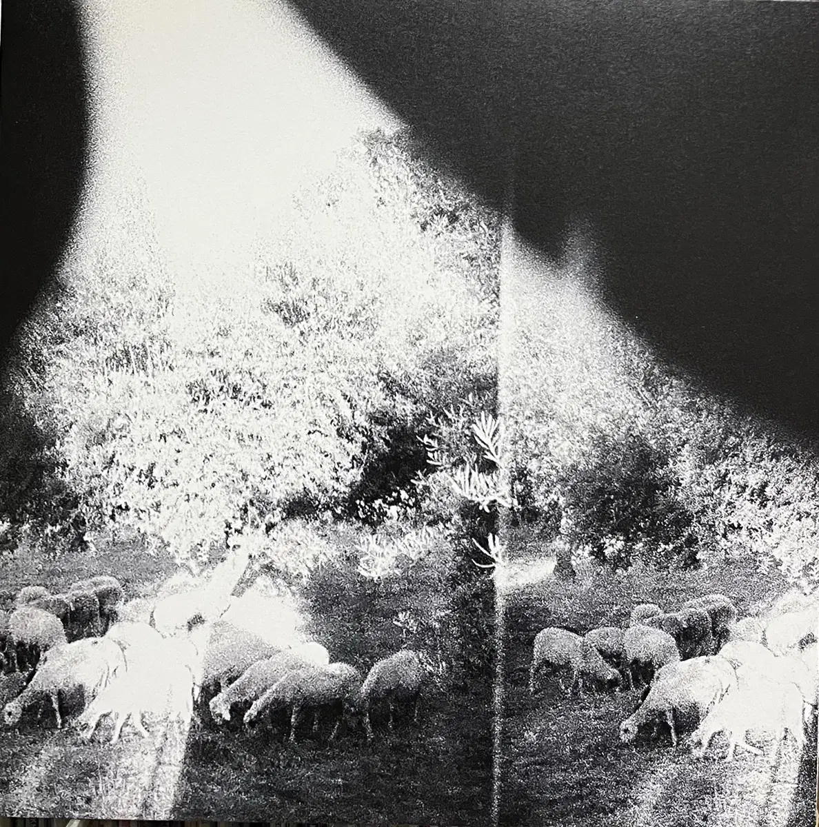 (포스트락) Godspeed You! Black Emperor lp