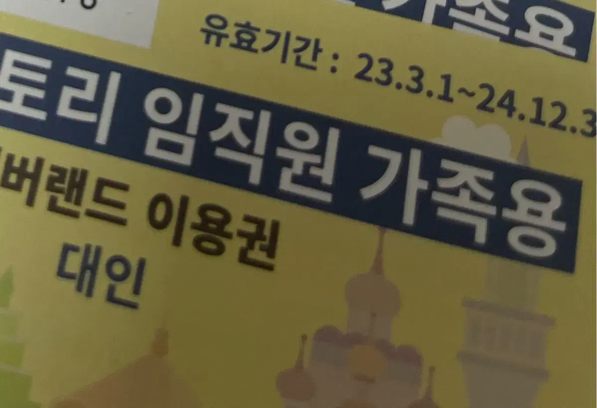 에버랜드 티켓