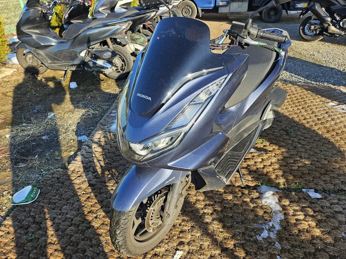 PCX125cc 22년식 판매합니다  28,xxx km  // 260만