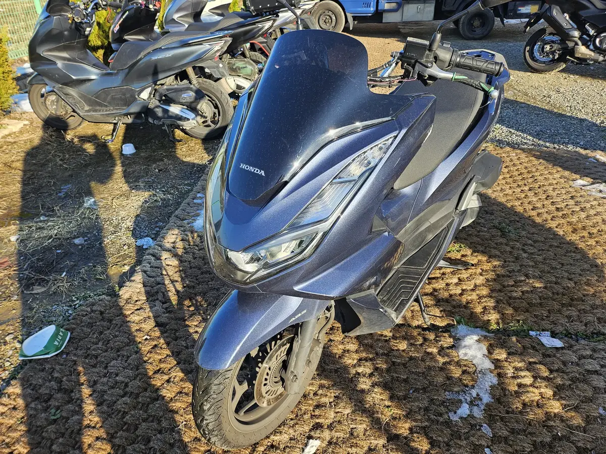 PCX125cc 22년식 판매합니다  28,xxx km  // 255만