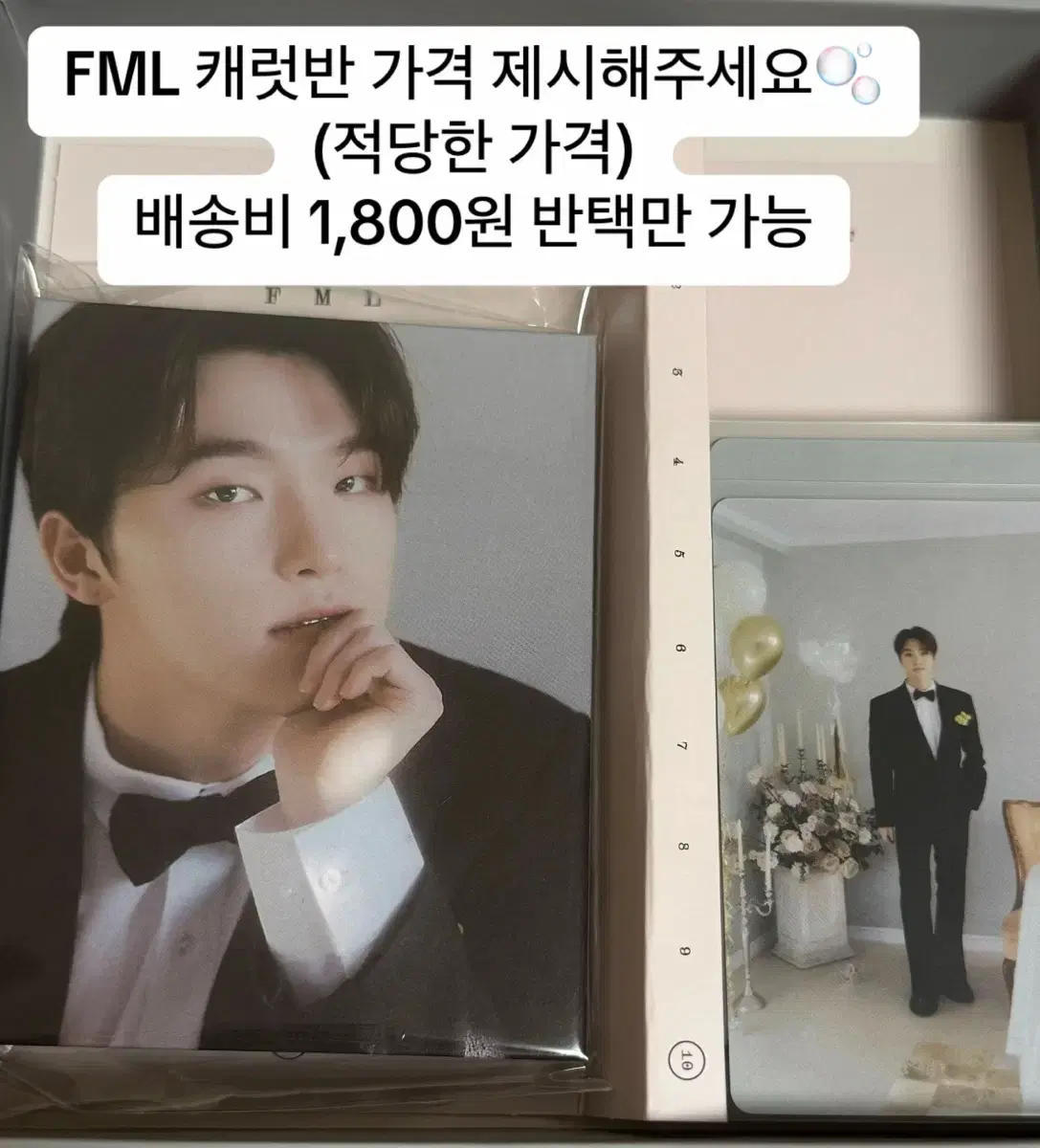 FML캐럿반 디노