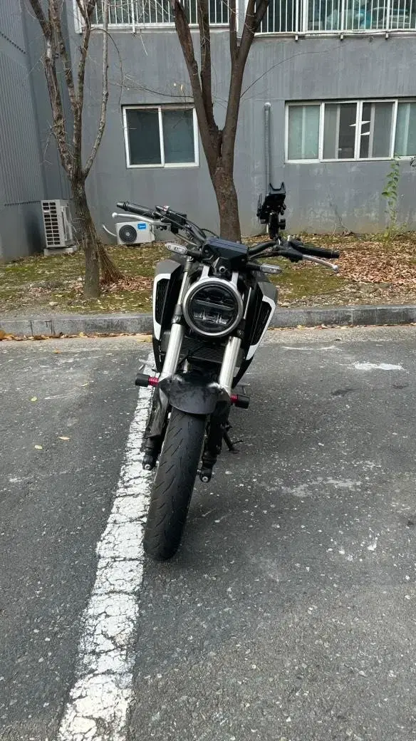 cb125r 20년식 판매합니다 (짧은키로수)