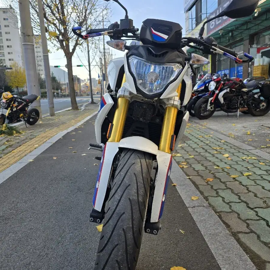 BMW G310R(2017년)