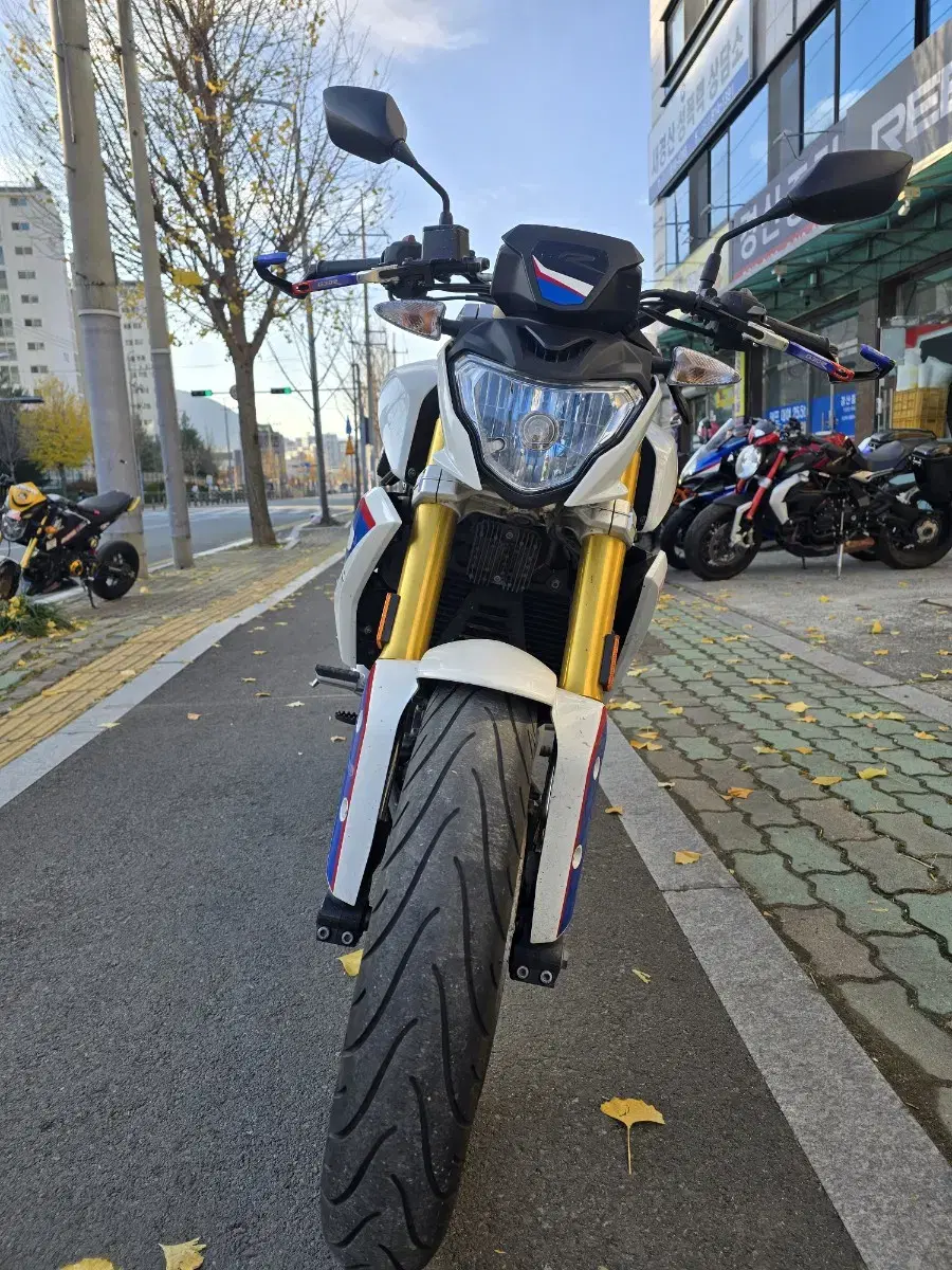 BMW G310R(2017년)