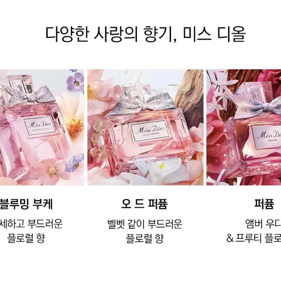 NEW 미스 디올 퍼퓸 50ML