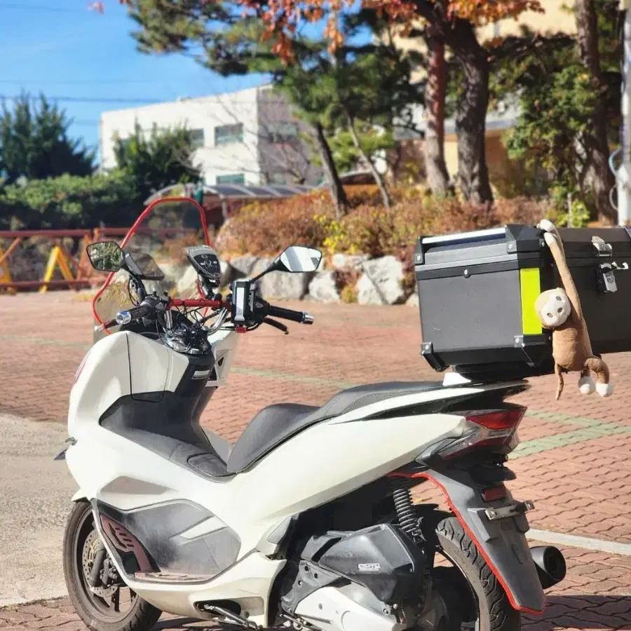 19년식 더뉴 PCX125 배달세팅 팝니다