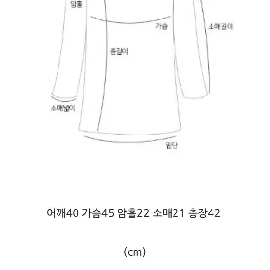 엔티크제이 진주반팔 울