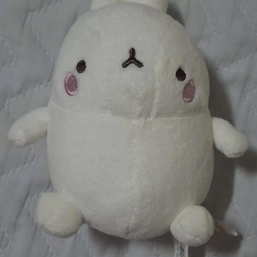 몰랑이 인형 팔아요